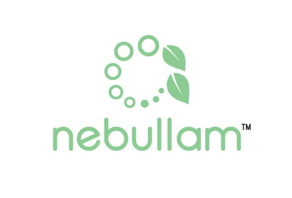 Nebullam, LLC, Ames